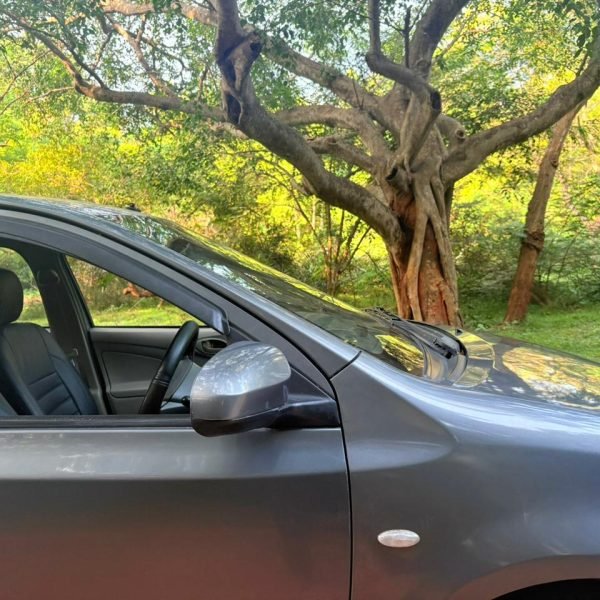 WhatsApp Image 2026-02-16 at 5.51.21 PM